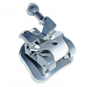 Brackets Interactivos...